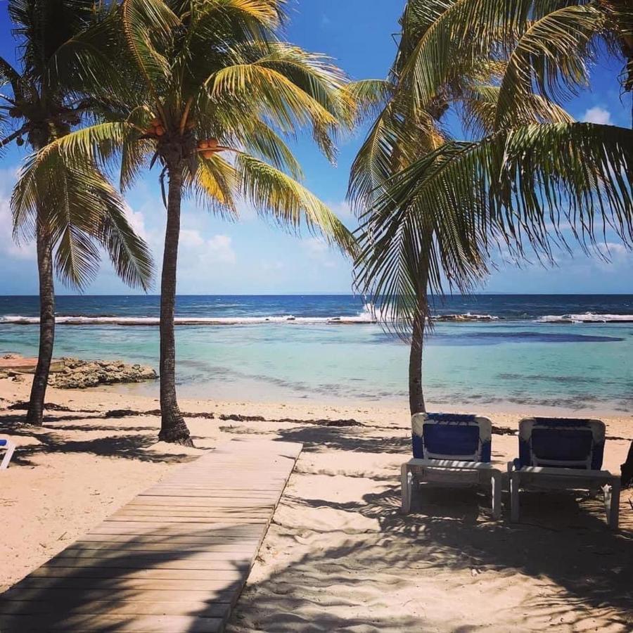 Studio Tahiti Vue Mer Saint-Francois  Exteriör bild